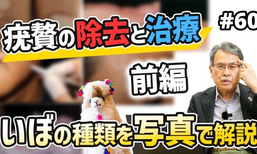 哺乳期面试需要说明吗网 - 网站提供哺乳期妇女找工作可以拒绝或延迟入职体检吗小常识、招聘哺乳期的妇女有什么风险
