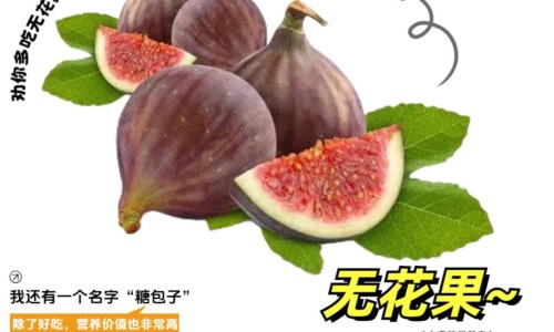 面试该不该说哺乳期-哺乳期面试需要说明吗网 - 网站提供哺乳期妇女找工作可以拒绝或延迟入职体检吗小常识、招聘哺乳期的妇女有什么风险